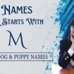 Dog Names That Start With M