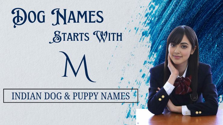 Dog Names That Start With M