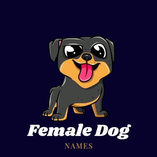 female dog names